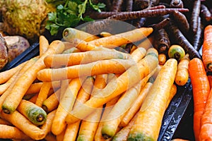 Fresh raw organic uncooked carrot vegetables for sale at farmers market. Vegan food and healthy nutrition concept. Top view