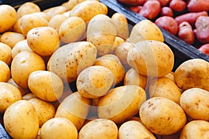 Fresh raw organic uncooked potatoes vegetables for sale at farmers market. Vegan food and healthy nutrition concept. Top view