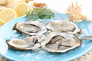 Fresh raw oysters with lemon juice