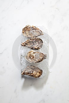 Fresh raw oysters offered on crushed ice on a marble white background with copy space.