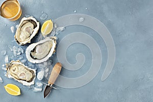 Fresh raw oysters, shotfrom the top with a glass of white wine, lemon slices, a shucking knife