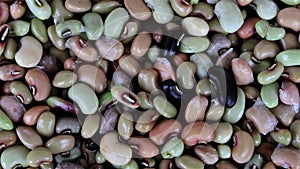 Fresh raw peeled pulses ready to cook