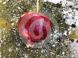 Fresh raw pomegranade fruit collected from the three