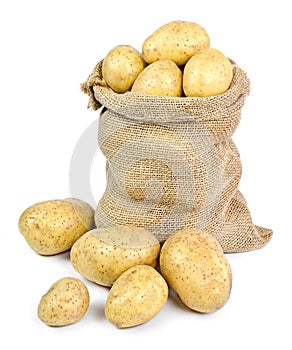 Fresh raw potatoes in a burlap sack