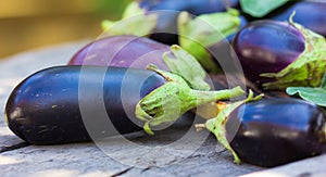 Fresh raw Purple Eggplant in a special wooden board for Eggplant on gray wooden background. Top view blank space.