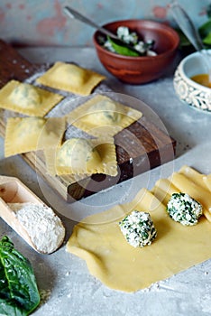 Fresh Raw Ravioli with Ricotta and Spinach on a blue background. Homemade raw uncooked italian pasta ravioli.