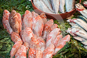 Fresh raw red fish
