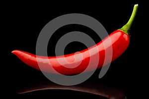 Fresh raw red hot chilli pepper on black background