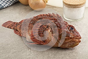 Fresh raw red scorpionfish