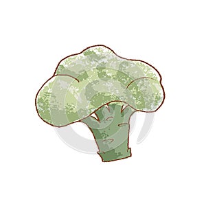 Fresh raw Ripe Cute Broccoli vegetable isolated icon. Spring Rareripes. hastings, farm market, Vector illustration. hand