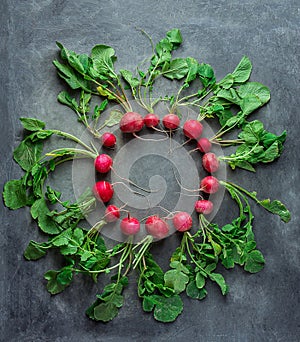 Fresh Raw Ripe Red Radishes with Green Leaves Arranged in Circle on Dark Concrete Stone Background. Top View Flat Lay.