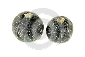 Fresh raw rotund zucchini