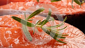 Fresh raw salmon fish fillet