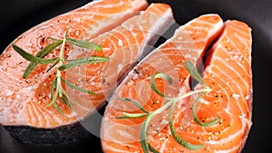 Fresh raw salmon fish fillet