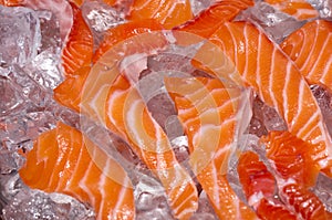 Fresh raw salmon fish in ice
