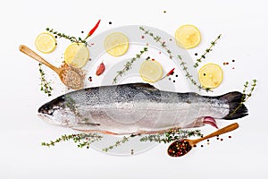 Fresh raw salmon red fish isolated on a white background