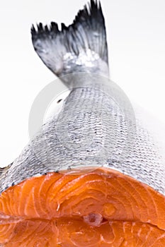 Fresh raw salmon red fish, isolated on white table