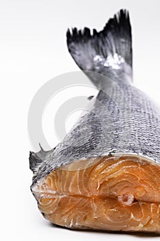 Fresh raw salmon red fish, isolated on white table