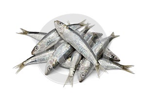 Fresh raw sardines