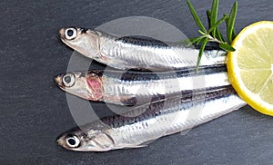 Fresh raw sardines