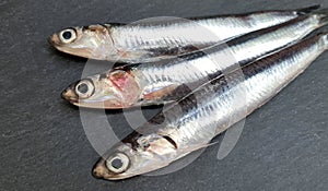 Fresh raw sardines