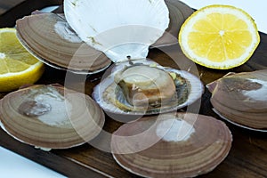 Fresh raw scallops in shells served in with lemons