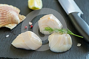 Fresh raw scallops on a slate stone with spices, ready to be cooked