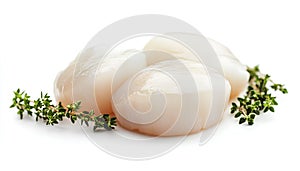 Fresh raw scallops and thyme isolated on white