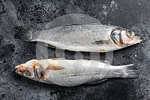 Fresh raw sea bass fish. Black background. Top view