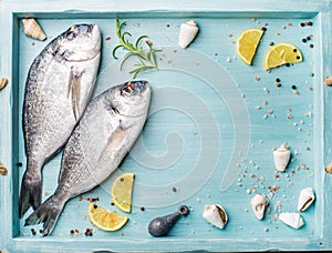 Fresh raw sea bream fish decorated with lemon slices, herbs and shells in blue tray, copy space