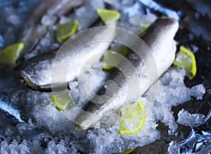 Fresh raw sea fish and lemon on ice surface. photo