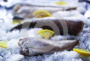 Fresh raw sea fish and lemon on ice surface. photo