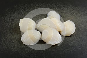 Fresh raw sea scallops