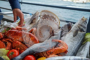 Fresh raw seafood presentation on cart at seaside restaurant with a man hand including fishes, prawn, shell, etc. on blurred ocean