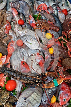 Fresh raw seafoods on counter in restaurant. Food theme. Mediterranean specialties.