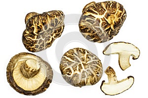 Fresh raw shiitake mushroom isolated on white