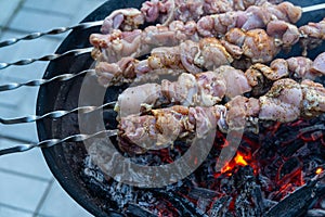 Fresh raw shish kebab, strung on skewers and put on red-hot coals. Juicy turkey meat is being cooked on the backyard of country