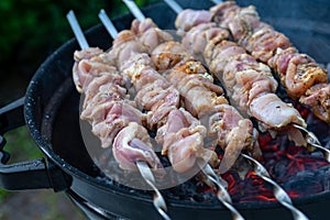 Fresh raw shish kebab, strung on skewers and put on red-hot coals. Juicy turkey meat is being cooked on the backyard of country