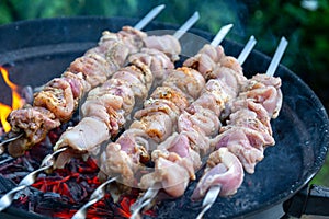 Fresh raw shish kebab, strung on skewers and put on red-hot coals. Juicy turkey meat is being cooked on the backyard of country