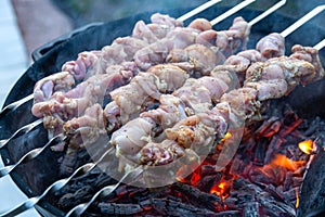 Fresh raw shish kebab, strung on skewers and put on red-hot coals with smoke clouds. Juicy turkey meat is being cooked on the