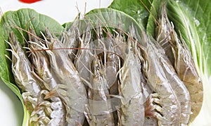 Fresh raw shrimp