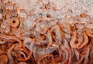 Fresh raw shrimp close-up lying on ice in a supermarket in Greece