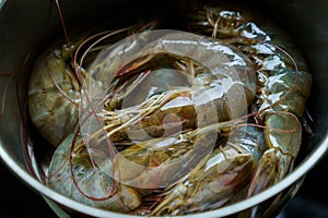 Fresh raw shrimp in a metal bowl