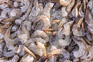 Fresh raw shrimp for seafood ingredient cooking