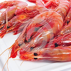 Fresh raw shrimps