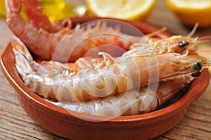 Fresh raw shrimps