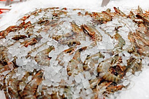 Fresh raw shrimps close up lying on ice in supermarket