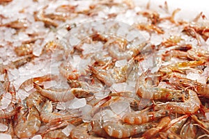 Fresh raw shrimps close up lying on ice in supermarket