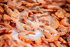 Fresh raw shrimps on display on ice on fishermen