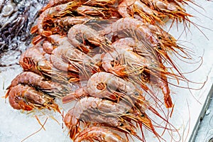 Fresh raw shrimps on ice at seafood market. Defrosted prawns at store